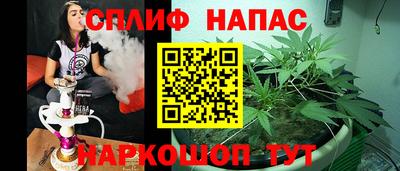 гидра Тверь