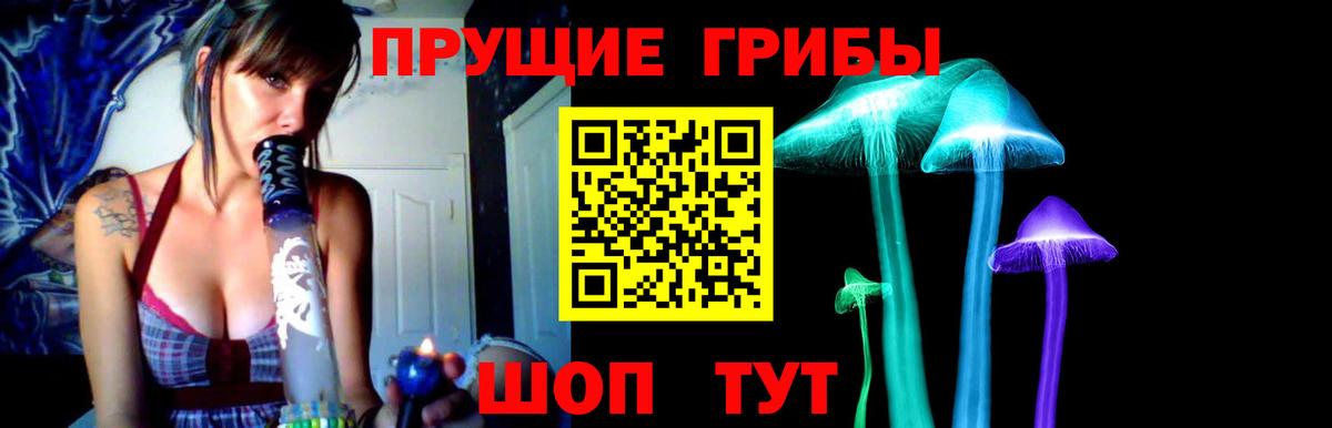 Галлюциногенные грибы Psilocybine cubensis  Вход с VPN  Нальчик 